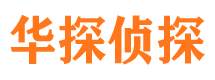 镜湖市私家侦探